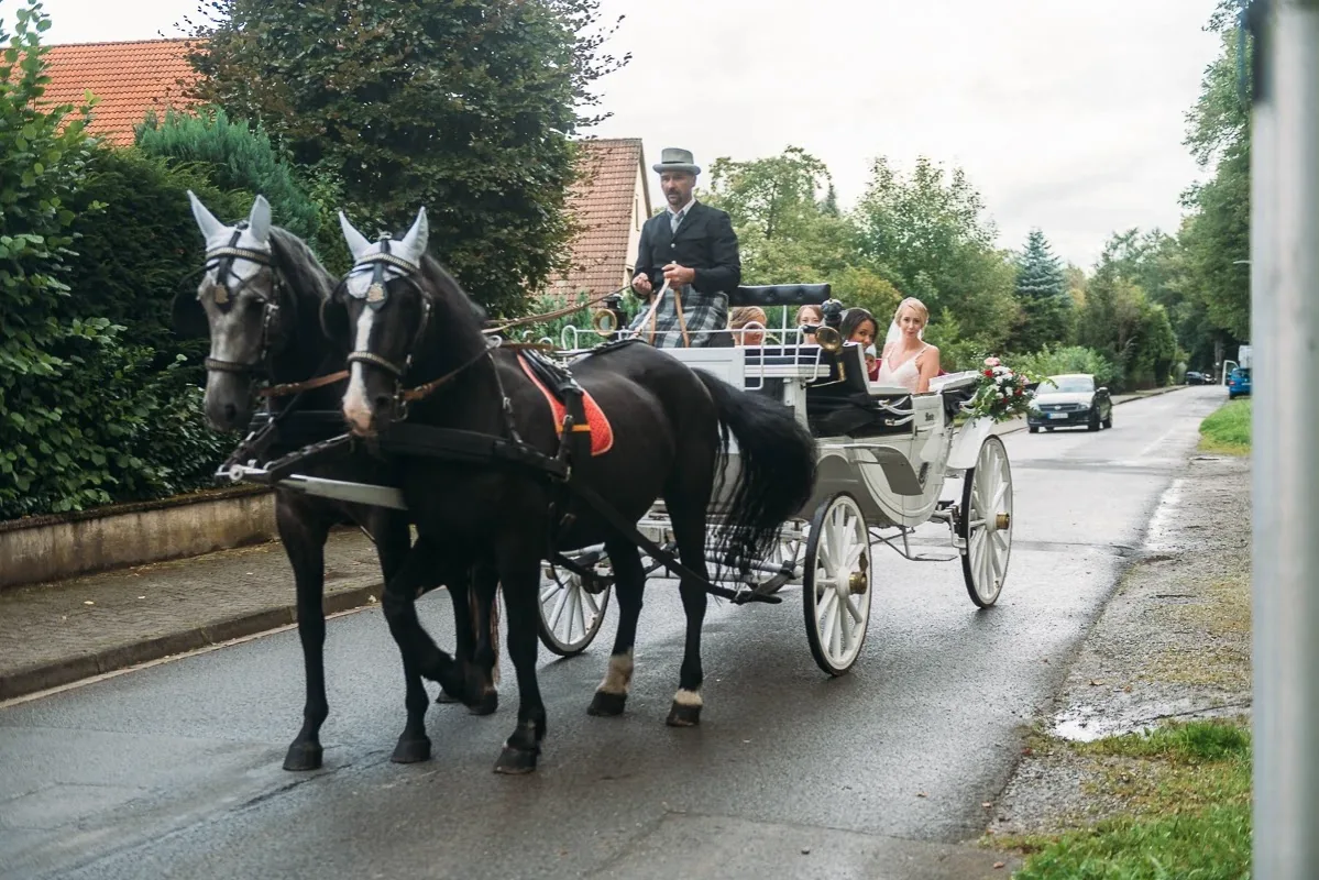 Hochzeitsgäste Hochzeitsgäste