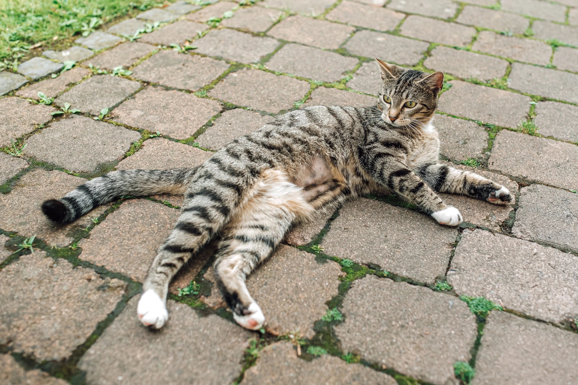 Vorbereitung vor der Trauung — Hochzeitsfotograf Göttingen